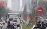 Ngắm hàng phong đỏ trổ lá ở Hà Nội
